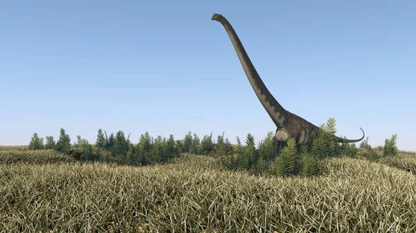 Mamenchisaurus walking in field — Stock Photo, Image