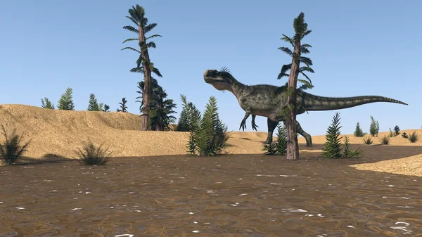 Monolophosaurus jakt i öknen — Stockfoto