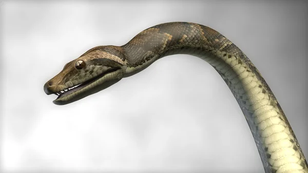 Grande fantasia python — Fotografia de Stock