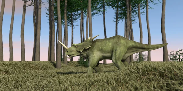 Styracosaurus 在草丛中行走 — 图库照片