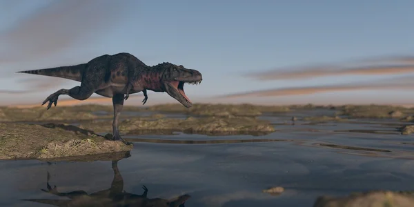 Tarbosaurus jacht in de avond — Stockfoto