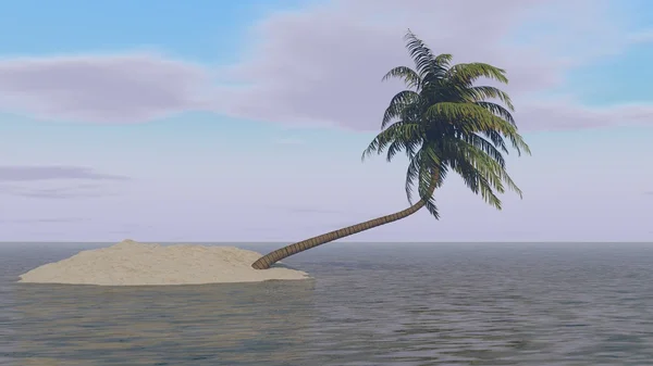 Tropical island with  palm tree — Stock Photo, Image