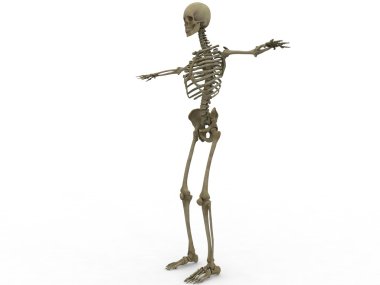 uzanmış eller erkek iskelet