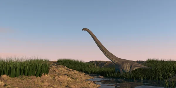 Mamenchisaurus wandert auf bewässertem Gelände — Stockfoto