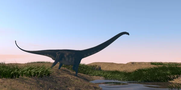 Mamenchisaurus walking on watered terrain — Stock Photo, Image