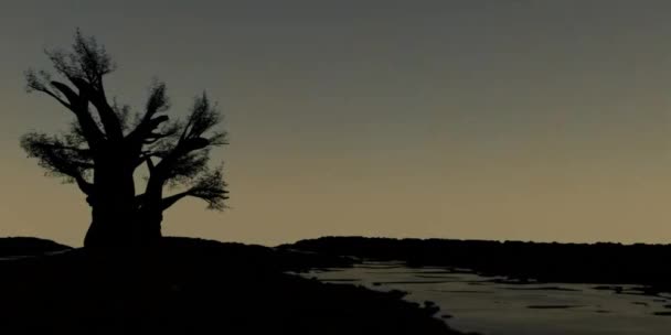 Baobab дерево на водной местности пустыни — стоковое видео