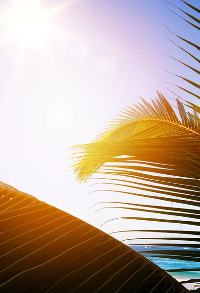 Arte Nascer do sol bonito sobre a praia tropical — Fotografia de Stock