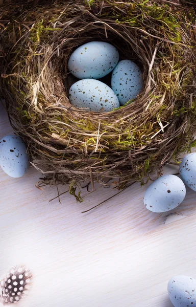 Arte fundo de Páscoa com ovos de Páscoa no ninho — Fotografia de Stock