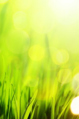 Sanat soyut Doğa bahar ya da yaz arka plan 