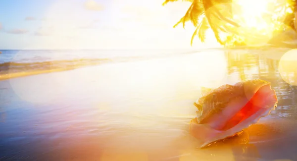 Konst semester bakgrund; solnedgång på den tropiska stranden — Stockfoto