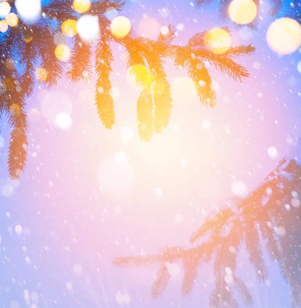 Рождественская елка на синем фоне снега — стоковое фото