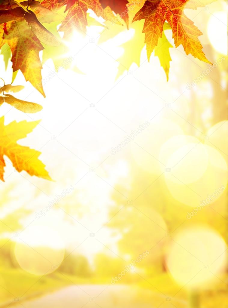 art autumn backgrounds with