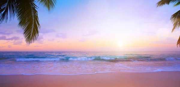 Güzel Günbatımı Tropikal Plaj Arka Planı Palmiye Ağaçları Deniz Dalgaları — Stok fotoğraf
