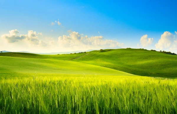 Sztuka Wiosna Wiejski Krajobraz Pole Wiosenne Panorama Błękitnego Nieba — Zdjęcie stockowe