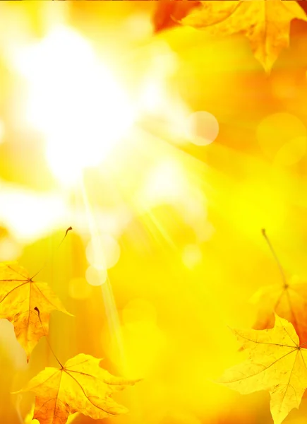 Autumn background — Stock Photo, Image