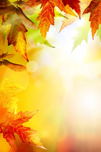 Art abstract autumn background — Stock Photo, Image