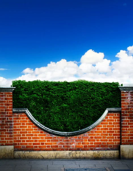 艺术灌木和砖围墙上蓝蓝的天空背景 — 图库照片