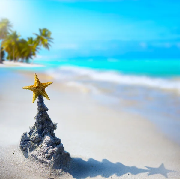 Art tropical Christmas holiday — Stock Photo, Image