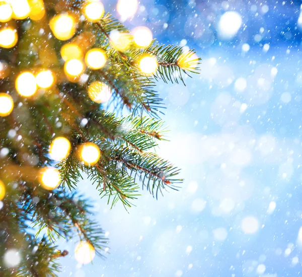 Umění vánoční strom větev a sníh podzim — Stock fotografie