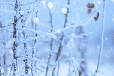 Kış donma arka plan