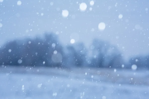 Fundo nevado — Fotografia de Stock