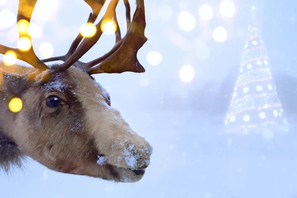 Natale cervo settentrionale — Foto Stock