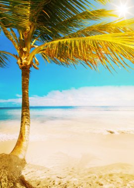 Sanat Hawaii tropik deniz plaj