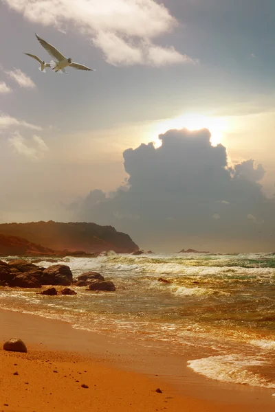 Arte Bella alba sulla spiaggia mediterranea — Foto Stock