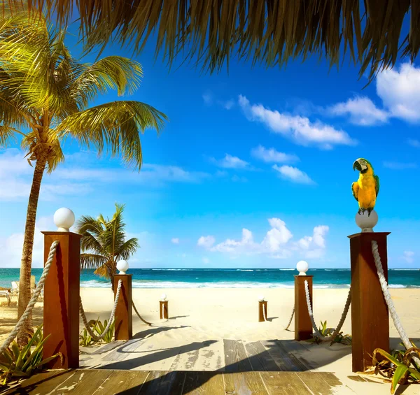 Playa de verano — Foto de Stock