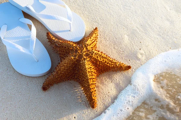 Arte Vacaciones de verano en una playa tropical — Foto de Stock