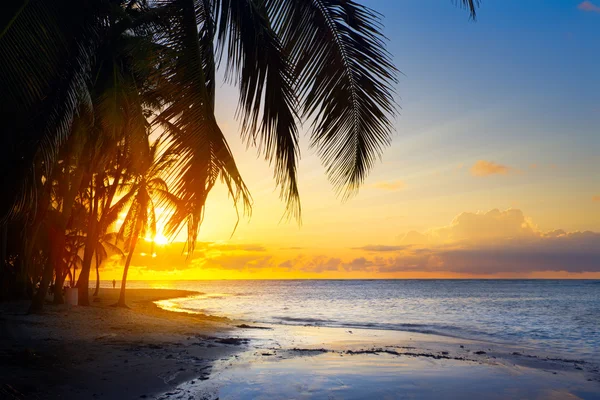 Arte Hermoso amanecer sobre la playa tropical — Foto de Stock