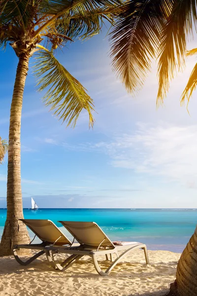 Arte Sedie a sdraio in spiaggia tropicale — Foto Stock