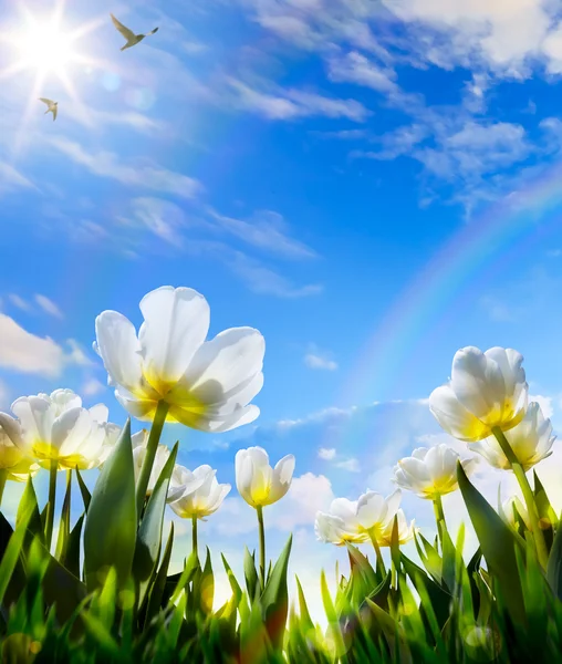 Arte Flor de primavera el día de Pascua — Foto de Stock