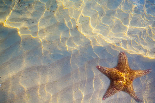 Arte verão praia fundo — Fotografia de Stock