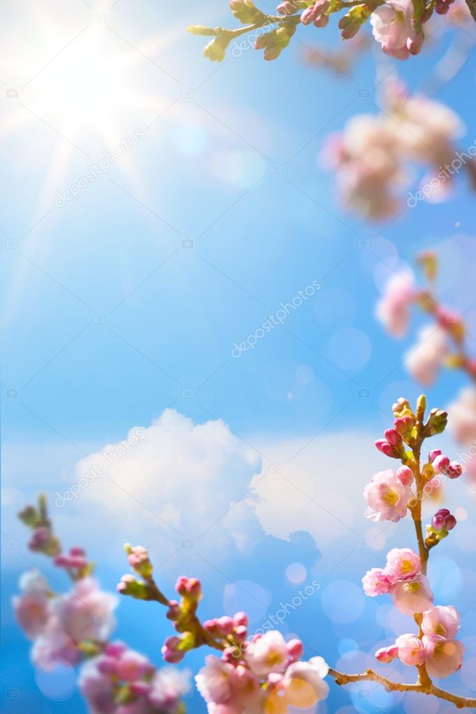 art Beautiful spring blossoming tree on sky background