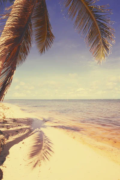 예술 아름 다운 복고풍 해변 보기 배경 — 스톡 사진