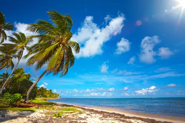 Arte bella vista sul mare sfondo — Foto Stock