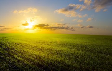 Sanat bahar alan, gün doğumu ve mavi gökyüzü