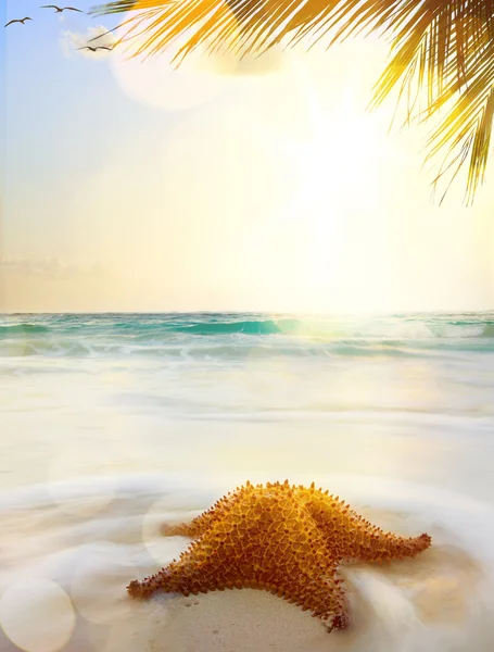 Arte playa caribeña en la hora de la puesta del sol — Foto de Stock