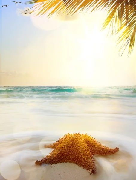 Günbatımı zamanı sanat Karayipler beach — Stok fotoğraf