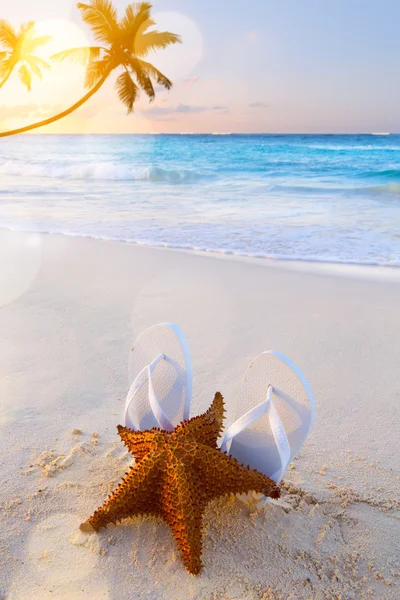 Chanclas de arte y estrellas de mar en una playa tropical — Foto de Stock