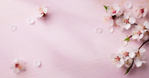 Art  spring flowers frame  background Stock Picture