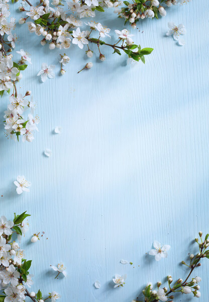 Arte Fondo de borde de primavera con flor blanca — Imagen de stock Arte Fondo de borde de primavera con flor blanca Imagen De Stock