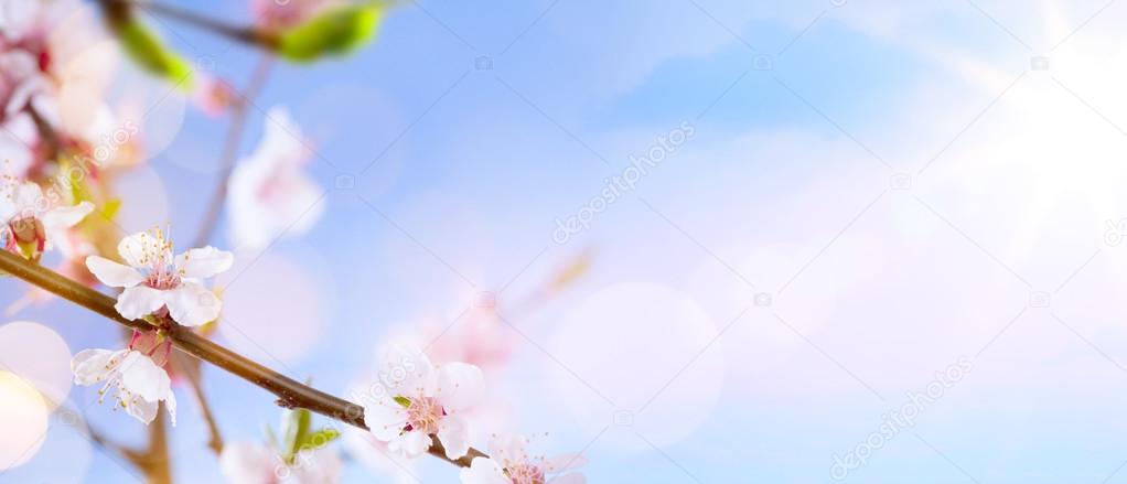 art Spring blossom background