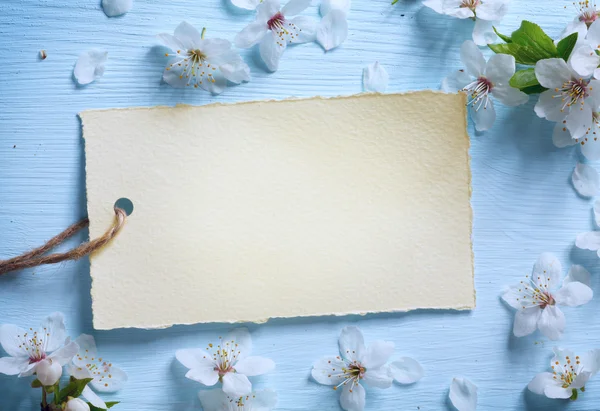 Arte Fondo de borde floral de primavera con flor blanca —  Fotos de Stock