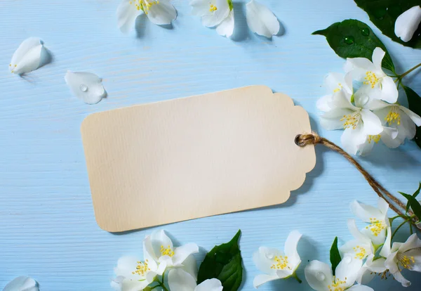 Arte Hermoso jazmín Flores y tarjeta vintage —  Fotos de Stock