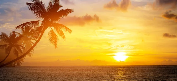 Arte Nascer do sol bonito sobre a praia tropical — Fotografia de Stock