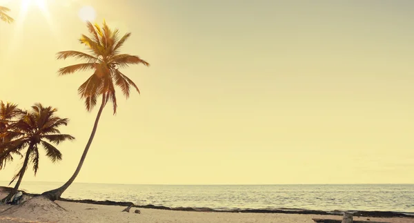 Latar belakang pemandangan pantai retro yang indah — Stok Foto