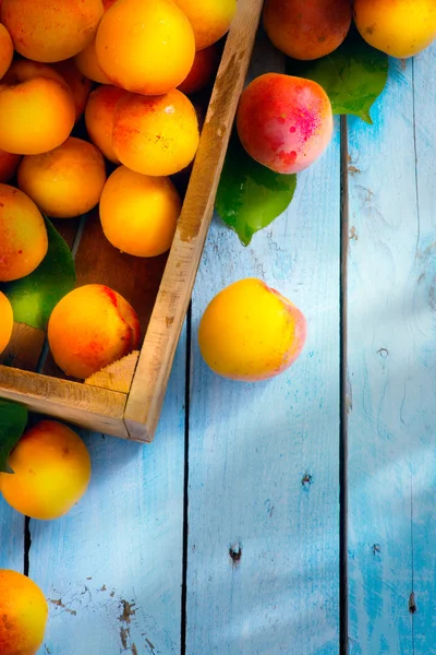 Мистецький фон літніх та осінніх фруктів для книги рецептів — стокове фото
