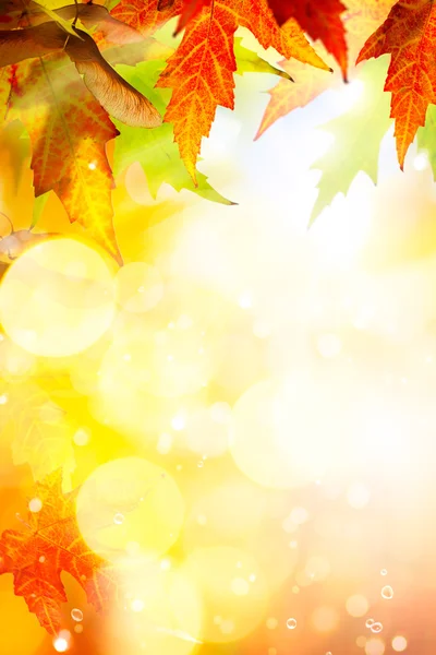 Art abstract autumn background — Stock Photo, Image